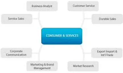 Consumer services
